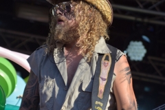 Fr_Wacken-open-air_Trollfest_DSC_8660