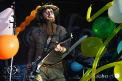 Fr_Wacken-open-air_Trollfest_DSC_8717