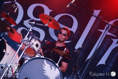 Mi_Wacken-open-air_vogelfrey_DSC_2208