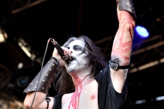 WZF_2490