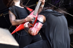 WZF_2537