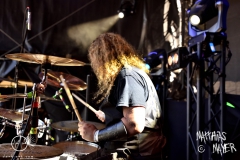 WZF_2193