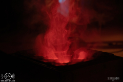 WoolFWPOA25DSC_2085X-low-light