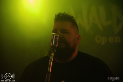 WoolFWPOA25DSC_2199X-low-light