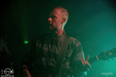 WoolFWPOA25DSC_2431X-low-light