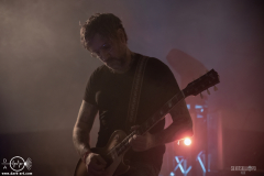 WoolFWPOA25DSC_2501X-low-light