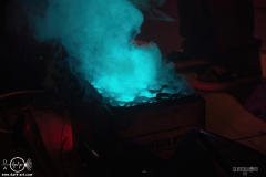 WoolFWPOA25DSC_2643X-low-light