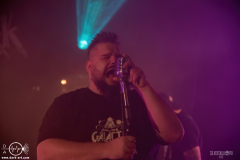 WoolFWPOA25DSC_2725X-low-light