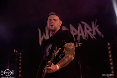 WoolFWPOA25DSC_2831X-low-light