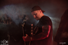 WoolFWPOA25DSC_2933X-low-light